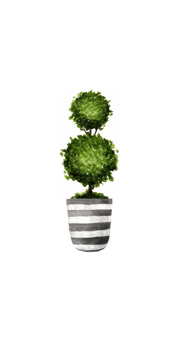 Topiary Design - Printed Guest Towel | 16 Pack